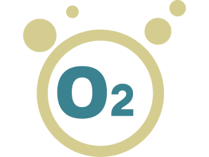 O2 icon