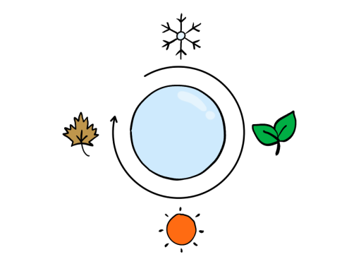 Snowflake, green leaf, sun and brown leaf contact lens image