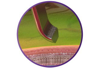 Close up of the SHARKSKIN ILM forceps showcasing its angled tip.