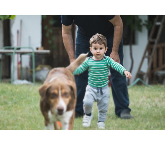 Dog appearing out of focus in foreground with child appearing in focus in distance