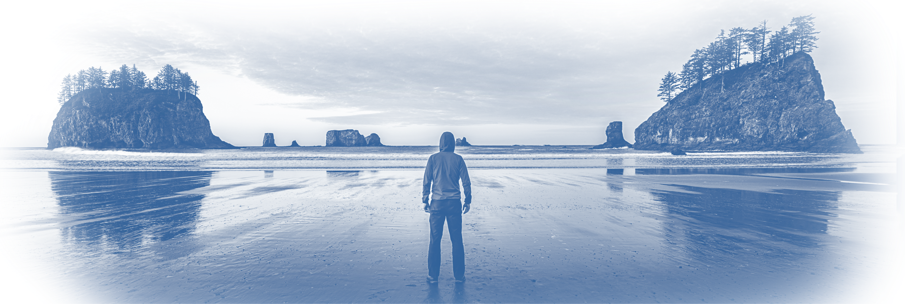 Gray Background Image of man by the ocean