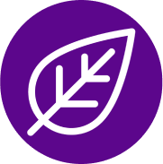 environment icon with leaf
