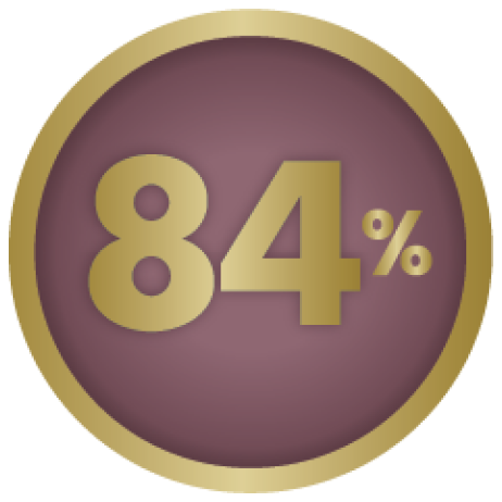 84% Icon