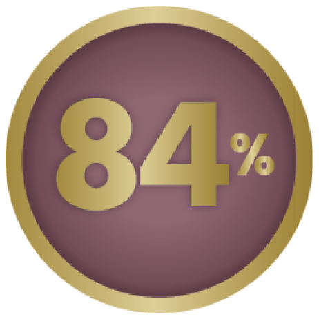 84% Icon