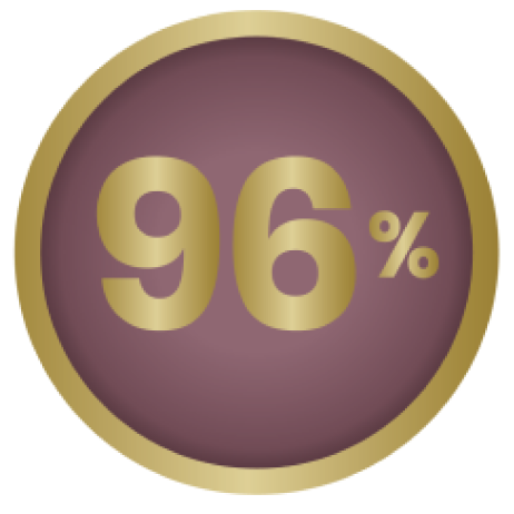 96% Icon