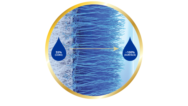 Surface of eye showing gradual transition of water content from 33% at the core to nearly 100% at the lens surface