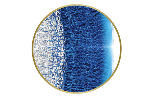 Surface of eye showing gradual transition of water content from the core to nearly 100% at the lens surface