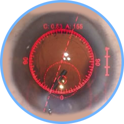 Precise Toric