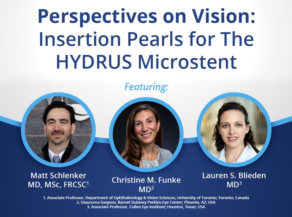 Perspectives on Vision