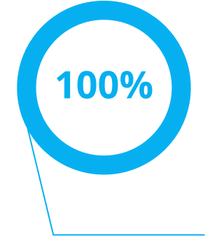 Pie chart image, 100% percentages and description