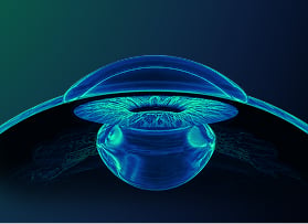 Illustration of the eye showing the cornea, iris and lens