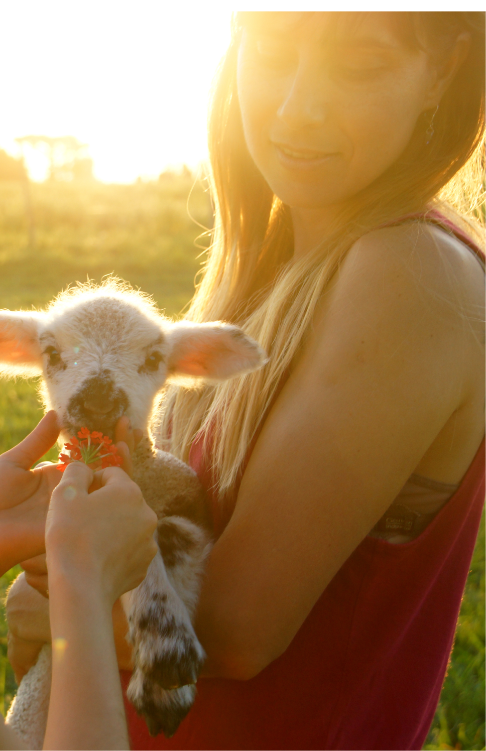 girl with lamb