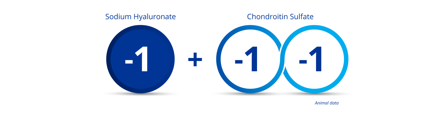 Dark blue circle with the number “-1” in the middle to indicate the charge for sodium hyaluronate. 2 blue interlocking circles both with the numbers “-1” in the middle to indicate chondroitin sulphate’s double negative charge. There is a plus sign between the dark blue circle and the 2 blue interlocking circles to illustrate that when sodium hyaluronate is combined with chondroitin sulphate, a triple negative charge occurs.