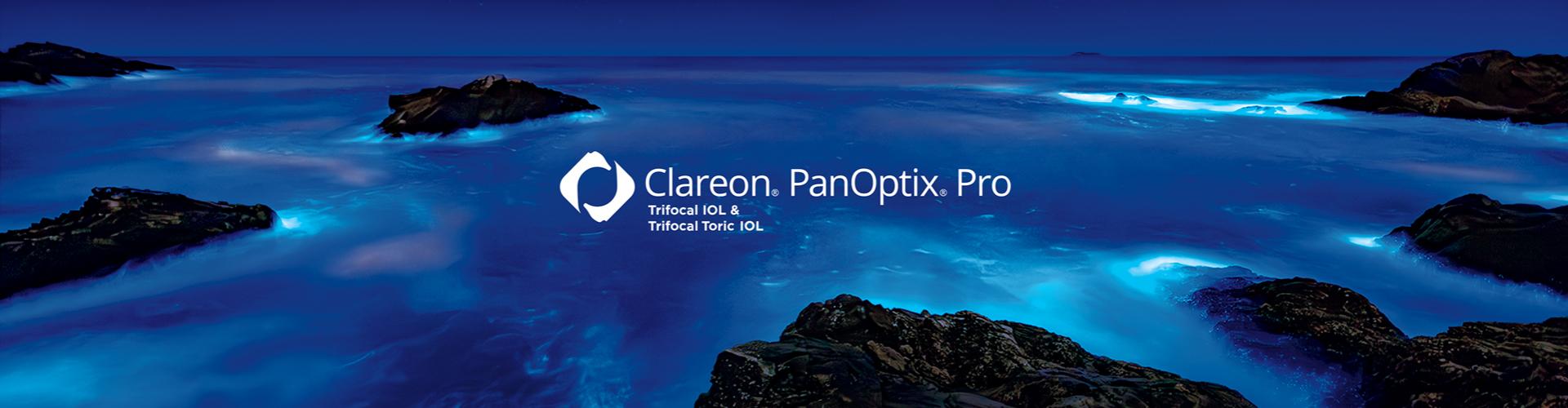 The Panoptix Pro Logo over the ocean