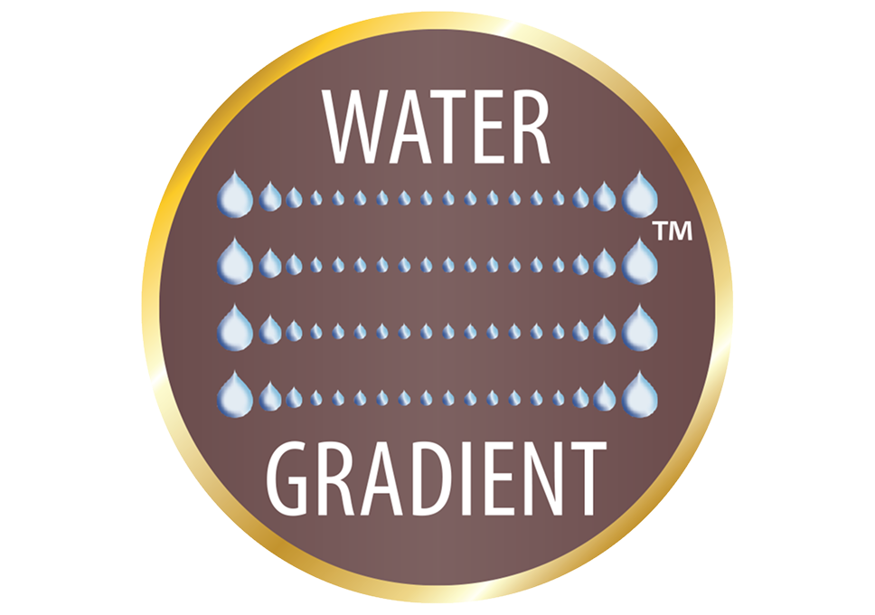Water Gradient logo